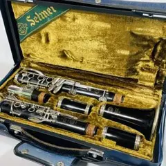 2026年最新】selmer クラリネット 10Sの人気アイテム - メルカリ