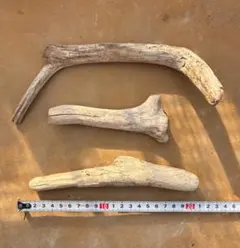 流木 3本セット 工作素材