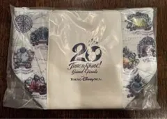 【値下げ】ディズニーシー 20周年　グランドフィナーレ　スーベニアランチケース