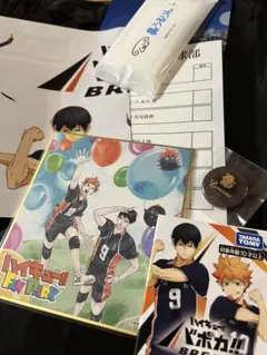 ハイキュー!! ファンパーク FAN PARK 来場者記念品　入場特典