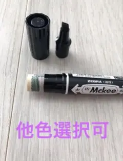 油性マジック型　シークレットケース