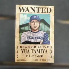 北海道日本ハムファイターズ　ワンピースコラボ　指名手配風ステッカー