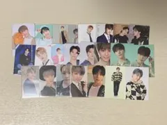 ディノ トレカセット