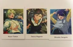 あんスタぱしゃっつ　Vol6 private 巴日和　南雲鉄虎　仙石忍