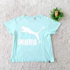 PUMA プーマ ロゴプリント 半袖 Tシャツ カットソー L ミントグリーンのサムネイル