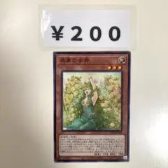 MNo.1133 表裏の女神