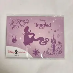 ディズニーJCB ピンバッジ　2025