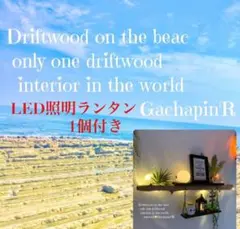 No.556【ツグ様専用】⭐️ランタン1個サービス⭐️流木ブランコウォールシェルフ