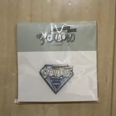 SEVENTEEN セブチ FOLLOW TO JAPAN ピンバッジ 大阪