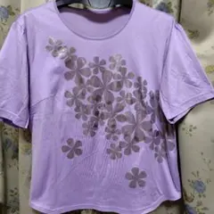 レリアン半袖綿100％Ｔシャツのサムネイル