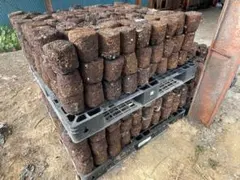 Item thumbnail for item 69cb9d23-f59e-490a-aafc-54776f5db1c0