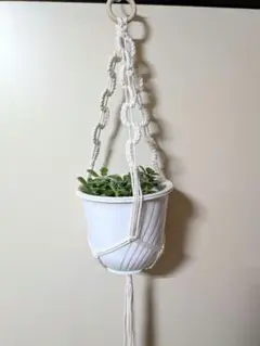 Item thumbnail for item a97ede46-b76a-4c08-befd-5b38f3f46fc7