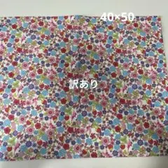 ランチョンマット40×50 妖精といちごと花柄
