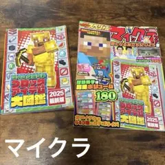 【未使用】マイクラ雑誌２冊