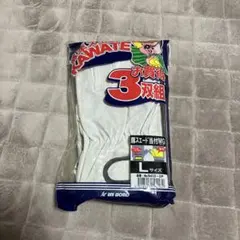 Item thumbnail for item e322c44f-b2b8-40e5-8e02-da3d9e923521