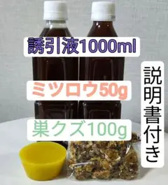 Item thumbnail for item ee3c8f3f-acc5-4eef-8f31-cd3662095151