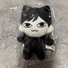 theboyz 　ドボ　ドボイズ　ジュヨン　10cm ぬいぐるみ　2個セット Amazon.co.jp: theboyz ドボイズ ジュヨン 10cm ぬいぐるみ