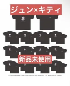 SEVENTEEN x SANRIO ジュン Tシャツ 新品未使用
