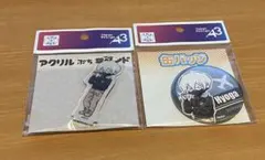 Dr.STONE フライトジャケット 氷月 2点セット