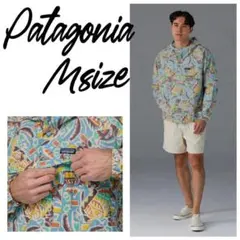 【定価2.4万】パタゴニア ファンホッガーズ アノラック  パーカー ブルー M
