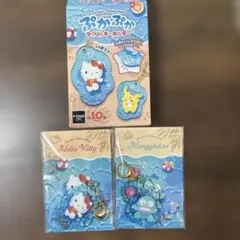 サンリオキャラクターズ ぷかぷかアクリルキーホルダー ポチャッコ ハンギョドンのサムネイル