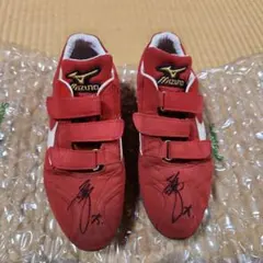 2009年 広島カープ #53 林昌樹 実使用 サイン入り ユニフォーム 2009年 広島カープ #53 林昌樹 実使用 サイン入り ユニフォーム