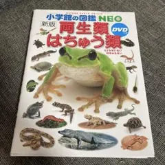小学館の図鑑NEO 新版 両生類 はちゅう類 DVD付き