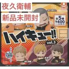 【⭐︎祝日限定⭐︎】ハイキュー おねむたん vol.3 夜久衛輔