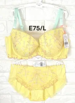 チャーミングラマー　スリムライン1509　上下セット　イエロー　E75/L