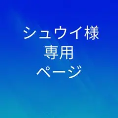 シュウイ様 専用ページ
