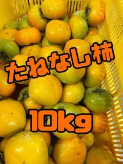 高知県産 本柚子小玉 10キロ - メルカリ