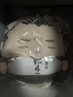 ハイキュー くじメイト ぬいくじ C賞 ふわコロりん Мサイズ 木兎光太郎