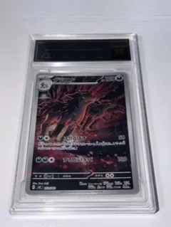 グラエナ AR PCG鑑定 Gem Mint 10