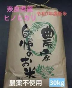 業務用ヒノヒカリ 150kg 高知県四万十町産 令和7年度 玄米 - メルカリ