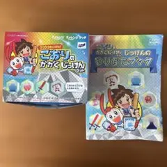 【進研ゼミ】こおりのかがくじっけんセット
