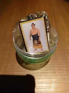 大相撲　ガチャ　明け荷キーホルダー　若隆景