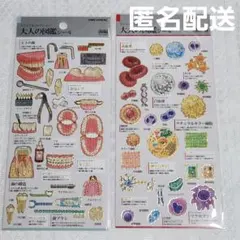大人の図鑑シール 歯編、細胞編