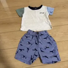 【セット売り】プティマインのTシャツ×アカチャンホンポのハーフパンツ　80cm