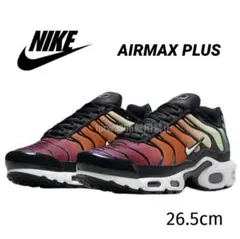 ナイキ エアマックス プラス 26.5 マップラ AIRMAX PLUS 01
