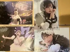 松本かれん　クリアファイル4枚