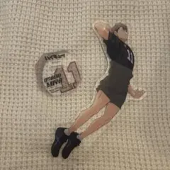 ハイキュー 宮治 アクリルスタンド