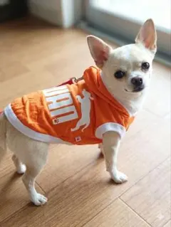 Item thumbnail for item 41acb778-31fa-4ca7-97e5-42d6c67658cb