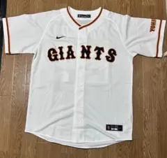 Item thumbnail for item 5322a173-50aa-4ce4-af60-cbffbc07fd67