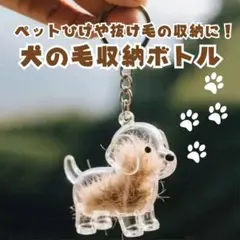 Item thumbnail for item 3e599481-cefb-47e8-aa72-cf583de50403