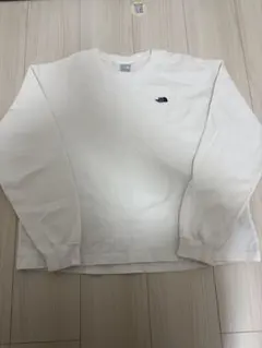 THE NORTH FACE ワンポイントロゴロンT M