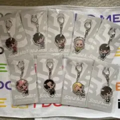 Snow Man アクリルキーホルダー ９体☆2022ライブグッズ☆コンプリート