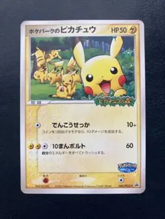 ポケパーク　edy カード　ポケモン　ピカチュウ　ポケカ カードじゃないピカチュウEdy | TOPPYのくびったけ日記