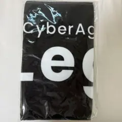 Dリーグ　CyberAgent Legit TAKUMIトレカ2 枚セット CyberAgent Legit商品の検索結果【D.LEAGUE OFFICIAL SHOP】