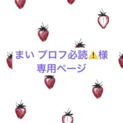 ぬいぐるみ衣装　専用ページ