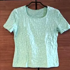HIROKO KOSHINOヒロココシノ薄グリーン半袖Tシャツサイズ9伸縮性有のサムネイル